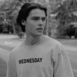 🔗 WEDNESDAY środa, serial, nastolatek, netflix, aktor telegram sticker