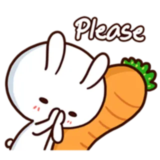 🙏 Please süß, Hase, Karotte, Bitte, betteln, flehend, entzückend, Aufkleber telegram sticker