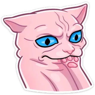 😞 cat, animal, pink, meme, funny, cute, expression telegram sticker