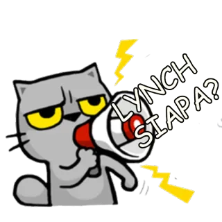 🤔 LYNCH SIAPA? gato, megafone, pergunta, desenho animado, adesivo telegram sticker