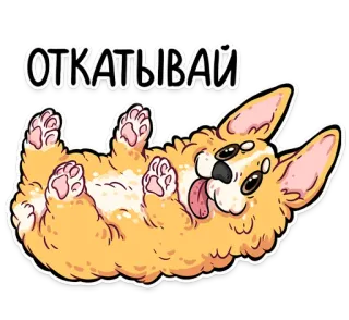 🙅‍♂️ ОТКАТЫВАЙ anjing, corgi, imut, lucu, bahagia telegram sticker
