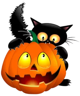 🙄 Halloween, kot, dynia, święto, jesień, straszny, świętowanie telegram sticker