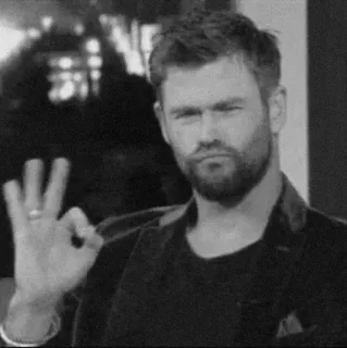 🗞 homme, ok, célébrité, personne, geste telegram sticker