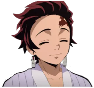 ☺️ Tanjiro Kamado Demon Slayer anime, manga, demon slayer, tanjiro, tanjiro kamado, souriant, joyeux whatsapp sticker