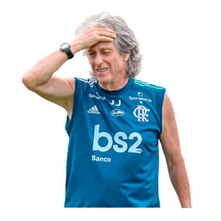 🤦‍♂️ telegram sticker