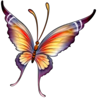 🦋 bướm, thiên nhiên, côn trùng, sặc sỡ, đôi cánh, vẻ đẹp telegram sticker