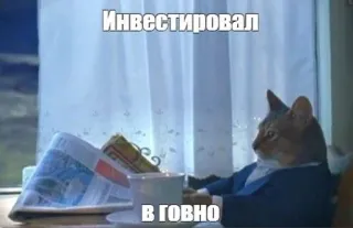 🌟 Инвестировал в говно gato, meme, investimento, negócios, engraçado, terno, jornal telegram sticker