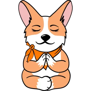 🧘‍♀️ corgi, cane, yoga, meditazione, namaste, carino, animale telegram sticker