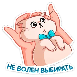 😬 НЕ ВОЛЕН ВЫБИРАТЬ кот, руки, милый, русский, стикер, животное, питомец, смешной telegram sticker