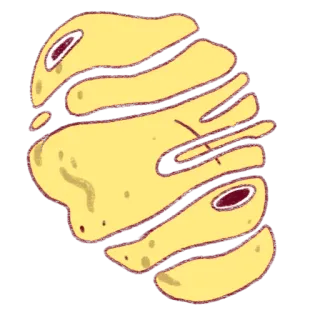 🌕 telegram sticker