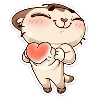 ☺️ gato, corazón, amor, animal, lindo, kawaii whatsapp sticker