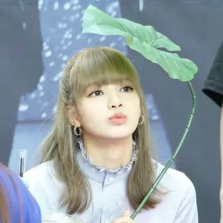 🥺 Lisa kpop, นักร้อง, ไอดอล, ลิซ่า, แบล็กพิงก์, คนดัง telegram sticker