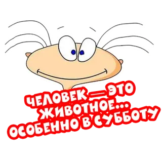 🥃 ЧЕЛОВЕК - ЭТО ЖИВОТНОЕ...ОСОБЕННО В СУББОТУ whatsapp sticker