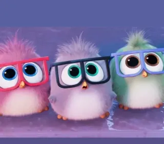 🤓 vogels, bril, schattig, cartoons whatsapp sticker
