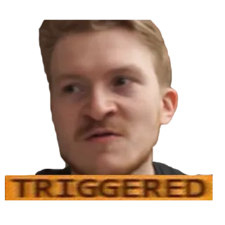 😡 TRIGGERED getriggert, Meme, Reaktion, wütend, Emotion telegram sticker