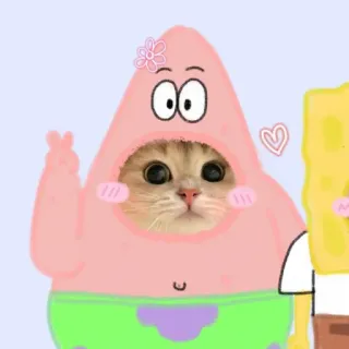 🌟 Patrick Star Spongebob Squarepants mèo, Patrick Star, Spongebob Squarepants, hoạt hình, dễ thương, động vật, hoạt hình telegram sticker
