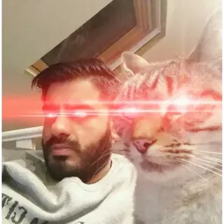 😃 gato, homem, olhos de laser, meme, engraçado, animal de estimação, selfie telegram sticker