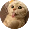 ๐ฐ