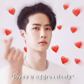 🤍 *loves u aggressively* amour, coeurs, affection, mignon, coréen telegram sticker