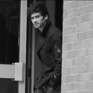 🖇 Zayn Malik 泽恩·马利克, 歌手, 名人, 肖像 telegram sticker