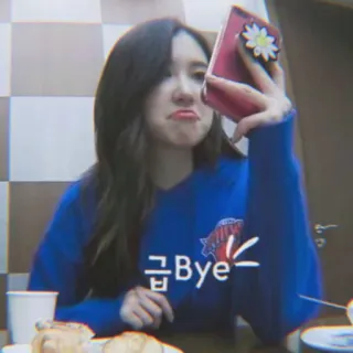🌷 Bye coreano, tchau, azul, selfie, expressão telegram sticker