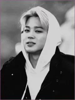 ⚜ Jimin kpop, sänger, jimin, idol, promi, bts telegram sticker