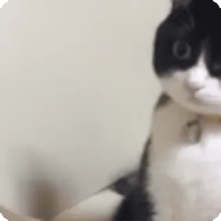 😳