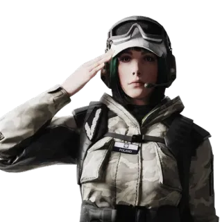 🌈 militaire, soldat, salut, uniforme, Pologne telegram sticker