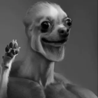 🗿 dog, chihuahua, offensive gesture, meme telegram sticker