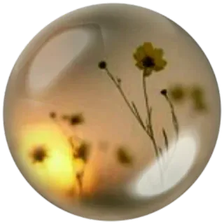 😊 Blume, Natur, Blumenmuster, Pflanze, Gelb, Kugel whatsapp sticker