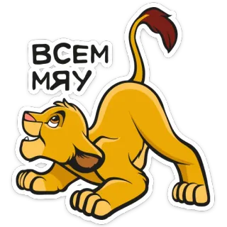 🐕 ВСЕМ МЯУ лев, мультфильм, животное, кошка, котёнок whatsapp sticker