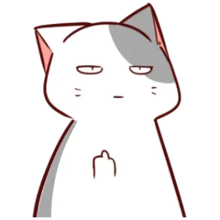 🖕 gato, pegatina, animal, grosero, dedo corazón telegram sticker