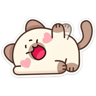 👋 chat, mignon, drôle, autocollant, animal, chaton, joueur telegram sticker