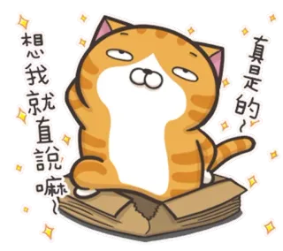 🙄 想我就直說嘛~ 真是的 Katze, Cartoon, lustig, süß, Tier, Box, orange telegram sticker