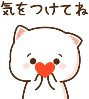 ❤️ 気をつけてね gato, lindo, corazón, kawaii, saludo, animal whatsapp sticker
