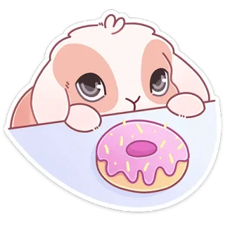 🍩 fofo, coelho, donut, doce, kawaii, animal, sobremesa whatsapp sticker