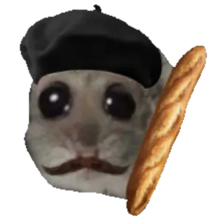 🥖 햄스터, 베레모, 바게트, 밈, 프랑스어, 동물, 웃긴, 귀여운 whatsapp sticker