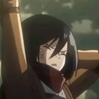 🥠 Mikasa Ackerman Attack on Titan Mikasa, Attack on Titan, anime, character, fighter, AOT telegram sticker