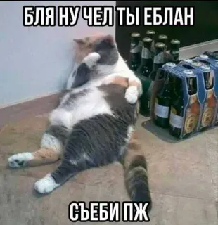 😒 БЛЯ НУ ЧЕЛ ТЫ ЕБЛАН
СЪЕБИ ПЖ 猫, 冒犯, 俄语, 幽默, 梗 telegram sticker