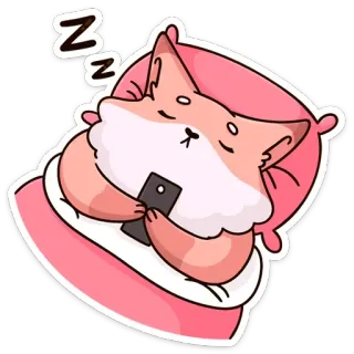 😴 ZZZ 猫, 动物, 睡觉, 卡通, 可爱, zzz telegram sticker