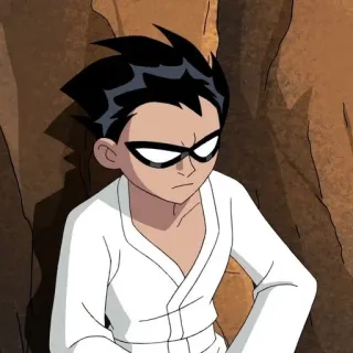 💉 Robin dessin animé, Teen Titans, garçon, personnage, Robin telegram sticker