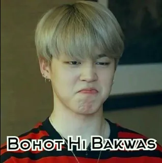 🤔 BOHOT HI BAKWAS Meme, śmieszne, wyrażenie, osoba, wewnątrz, wyraz twarzy, młodzież, portret telegram sticker