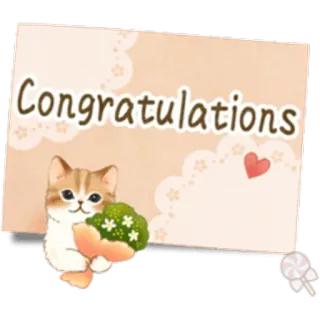 🐱 Congratulations felicitaciones, gato, flor, saludo, tarjeta whatsapp sticker