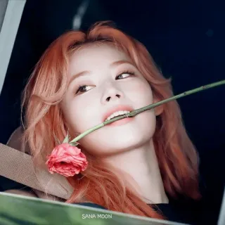 😌 SANA MOON woman, portrait, flower, girl, kpop telegram sticker