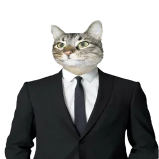 👨‍⚖️ 고양이, 정장, 비즈니스, 동물, 의인화, 넥타이 telegram sticker