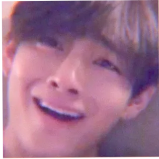 🏁 RM RM, BTS, K-Pop, Musik, Idol, Sänger, Südkorea telegram sticker