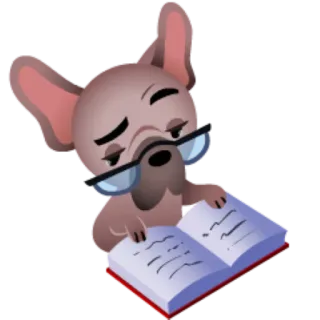 📚 cachorro, leitura, óculos, livro, animal telegram sticker