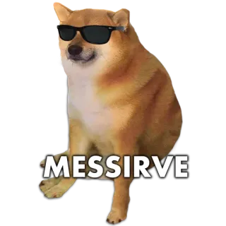 🐶 MESSIRVE doge, หมา, มีม, ตลก, สัตว์ whatsapp sticker