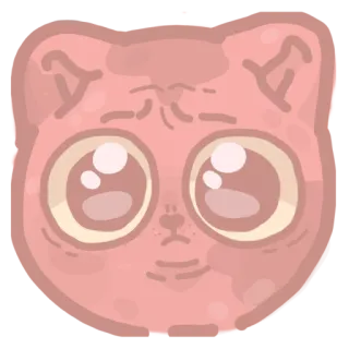 🧑‍🦲 кот, животное, стикер, милый whatsapp sticker