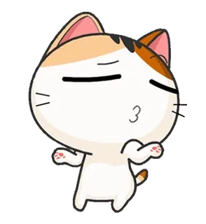 🤷‍♂️ kot, zwierzę, naklejka, kreskówka, słodki, kotek whatsapp sticker